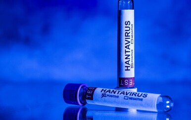 WHO upozorava na moguće nove slučajeve hantavirusa