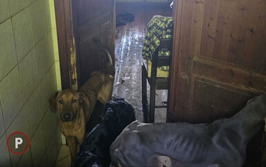 Na slučaj koji je zgrozio Hrvatski Provjereno je davno upozorovalo