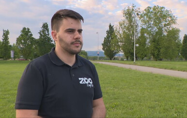Vrana napala Zagrepčanku s bebom, evo kako se zaštititi: "Treba se okrenuti prema njoj i pogledati ju"