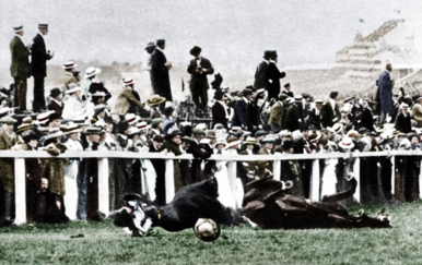 Priča o Emily Davison