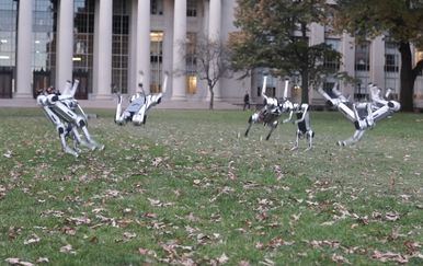 Mini gepard roboti s MIT-ja