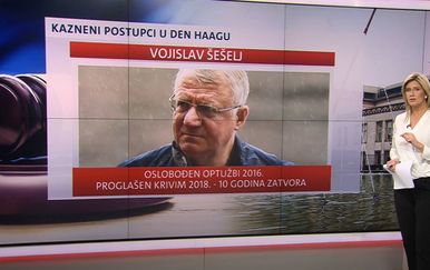 Vukovar: Kazneni postupci u Haagu - 1