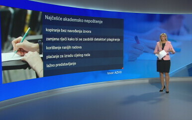 Videozid, Romina Knežić: Plagiranje - 4