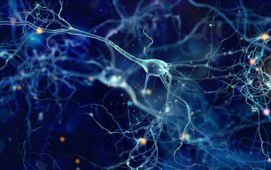 Neuroni u mozgu, ilustracija