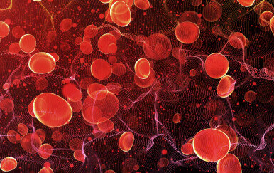 Krvne stanice