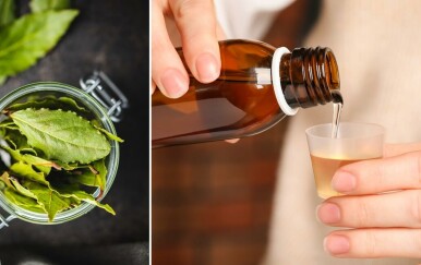 Sirup od lovora protiv kašlja: Jednostavan, ali moćan lijek