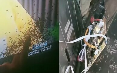 Rastavio TV kako bi otkrio što izaziva mrlje na ekranu pa požalio otkriće