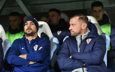 Niko Kranjčar i Ivica Olić