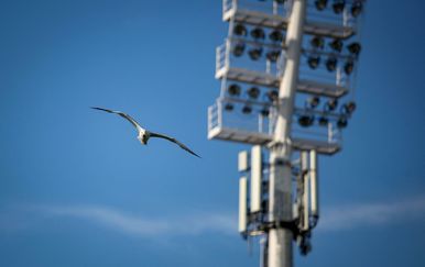 Tužna sudbina kultnog hrvatskog stadiona (i kluba): Odvjetnica odnijela semafor i stolice!