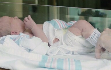 Demografski porast - 3