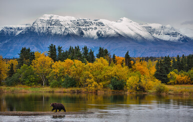 Kako se piše: Aljasci ili Aljaski