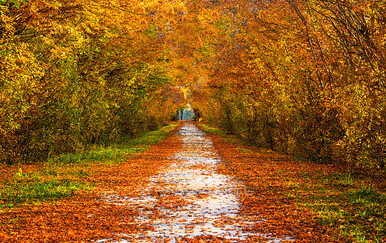 Sunčano vrijeme, ilustracija