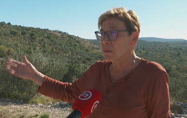 Berače maslina gotovo pogodili lovci: "Letjelo im je iznad glave! Nakon svega su mrtvo hladno..."