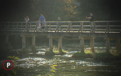 Život im se pretvorio u noćnu moru! Na njihovo vlasništvo upisana je država, pa ako žele prodati kuću, odrezati drvo imaju problem...