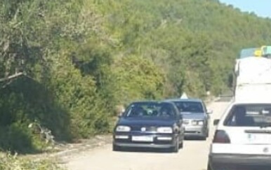 Dalmatinac napravio pravu kolonu, a kad vidite zašto nećete se prestati smijati