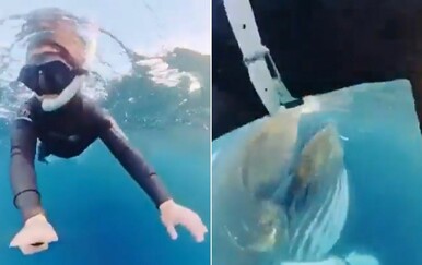 Roniteljica i plavetni kit, screeenshot