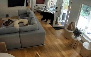 Medvjed im ušetao u kuću, ali nije bio spreman na ovakav otpor