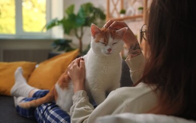 Psiholozi tvrde: Ljudi koji vole pse i oni koji vole mačke potpuno su različiti tipovi osobnosti!
