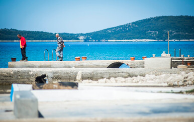 Žaborić, ilustracija