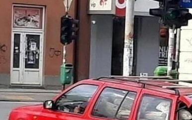 Neki se ozbiljno spremaju za zimu, pogledajte samo ulov ovog Golfa