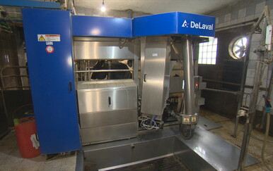 Hoće li mlijeko poskupjeti? Država pripremila višemilijunsku potporu: "Štale su prazne, nema više mukanja..."