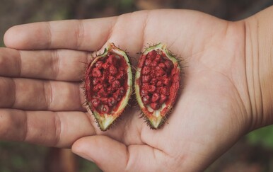 Lekcije iz džungle: Pleme koje je otkrilo tajnu sretnog života