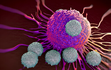 Znanstvenici došli do nevjerojatnog otkrića kako tumori sprječavaju imunološki sustav da ih uništi