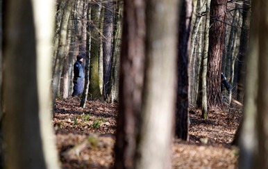 Policija; Ilustracija