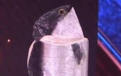 Miss Universe Norveške, Leonora Lysglimt-Rødland