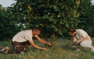 Kako su brat i sestra iz Đakova stvorili slatku priču od domaćeg lješnjaka