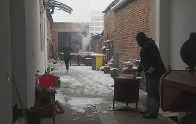 Krenula sezona svinjokolje