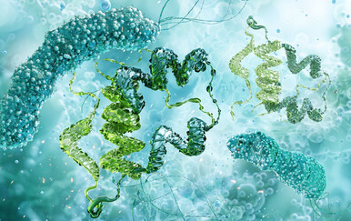 Dijabetes tipa 1 izliječen novom hibridnom terapijom