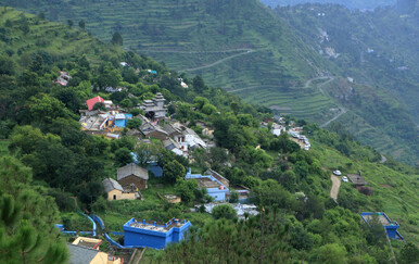 Ženu u Indiji napao medvjed