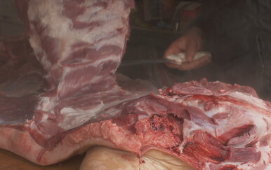 Stala prodaja svinja