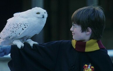 Saznajte koji je bio najpopularniji film na svijetu one godine kada ste se vi rodili!