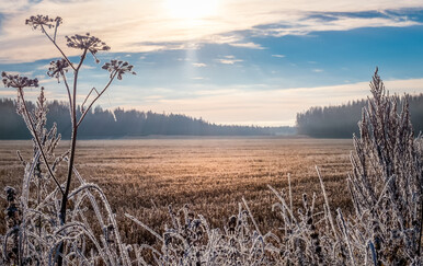 Vremenska prognoza; Ilustracija