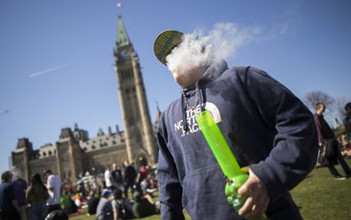 U Kanadi od danas legalna marihuana (Foto: AFP)