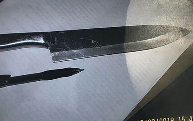 Djevojčice su imale noževe (Foto: Bartow County Police)