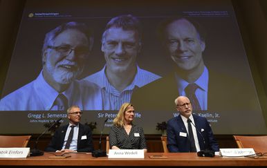 Dodijeljena Nobelova nagrada za medicinu (Foto: AFP)