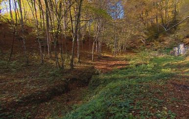 Presušena rijeka (Foto: Dnevnik.hr)