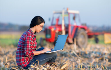 Žena za računalom u polju, ilustracija