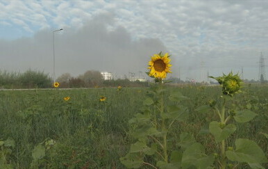 Posljedice požara u Osijeku