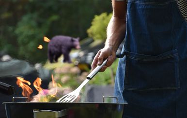 roštilj u prirodi i medvjed u pozadini slike