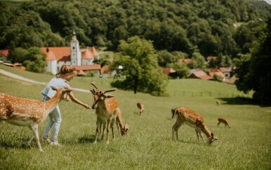 Idealni obiteljski izlet odmah uz granicu: Šteta bi bilo da ne uživate na idiličnom Jelenovom grebenu