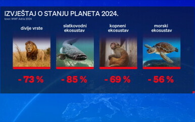 Izvještaj o stanju planeta 2024.