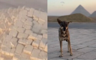 Pas ispred i na vrhu piramide u Gizi