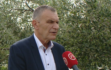 Nediljko Dujić, predsjednik uprave Hrvatskih šuma