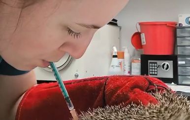 Snimka iz veterinarske klinike iznenadila gledatelje, ovakav prizor ne viđa se često