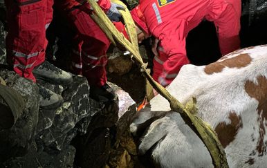 HGSS u akciji spašavanja - 2