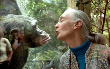 Preminula Jane Goodall, šaptačica čimpanzama